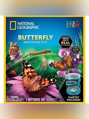 National Geographic Butterfly Growing Habitat Reusable Kit - STEM